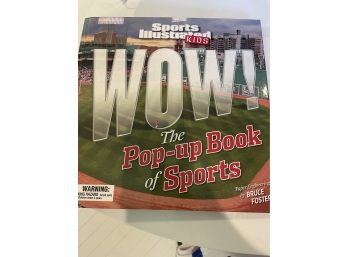 WOW! The Pop-Up Book Of Sports