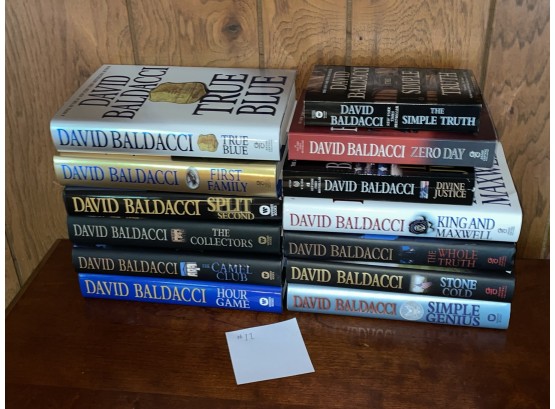 Lot Of 13 David Baldacci Thriller Novels (Lot #11)