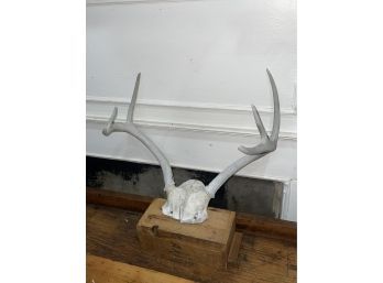 Wonderfully Weathered White Deer Antlers 6 Point - Taxidermy Hunting Cabin Decor