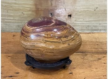 Real Petrified Wood Stone Egg