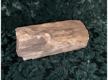 Vintage Piece Of Petrified Wood - Rock/Mineral Specimen