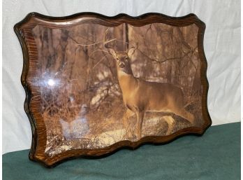 Big Buck In The Woods Photo Plaque - Hunting Cabin Decor