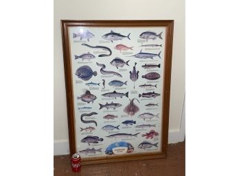 'Poissons De Mer' French Fish Of The Sea Framed Poster Print