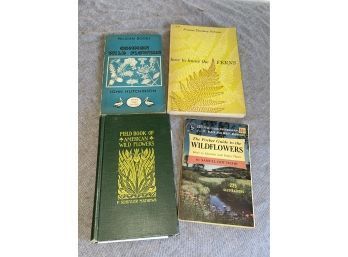 Lot Of 4 Antique/vintage Wildflowers & Ferns Field Guide Books