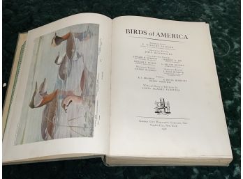 1936 'birds Of America' Large Book With Wonderful Color Prints