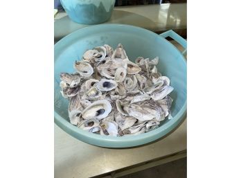Large Bucket Of Oyster Shells - Seashell Beach Decor