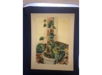 Green House Plant Watercolor Painting By Rosemary Connor #30