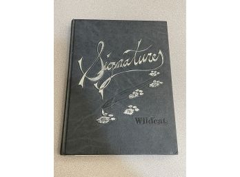 1995 Wildcat (Bethel, Connecticut) High School Yearbook