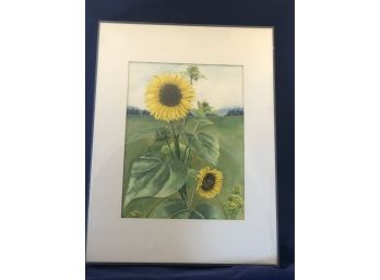 Sunflowers In Field Watercolor Painting By Rosemary Connor #11