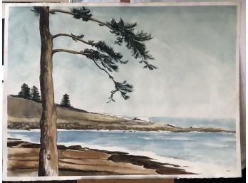 'Scrub Pines At Shore' Watercolor Painting By Rosemary Connor #60
