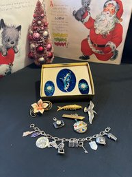 Misc Jewelry Lot Blue Rhinestones, Brooche, Wiggle Fish & Charm Bracelet ( Few Sterling Charms)