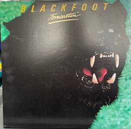 Lp Record Vinyl Blackfoot Tomcattin