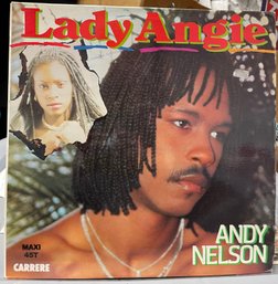 LP Record Vinyl Lady Angie, Andy Nelson