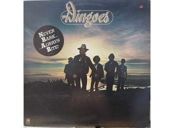 The Dingoes Five Times The Sun White Label Promo Lp Record Vinyl