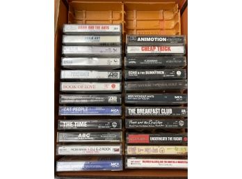 23 Cassette Tapes Rock And Other! Prince, Adam Ant, Echo And Bunnymen, Underworld, Asia, Animotion, Foreigner