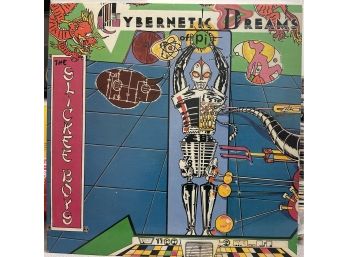 LP Vinyl The Slickee Boys Cybernetic Dreams Of Pi TTR8337