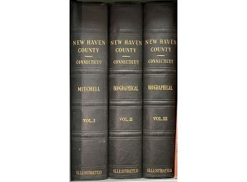 New Haven County Connecticut 3 Volume Book Set Illustrated Biographical Historical