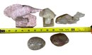 Lot Of Minerals,fossils, Statues, Polished
