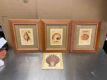 Lot Of 4 Wall Art Sea Shells Antique Plate Style  Prints
