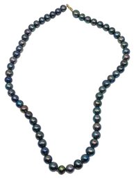 Necklace (Tahitian Black Pearl?) (39)