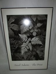 36.25'x24.25' Framed Ansel Adams - The Print - Wall Art Decor