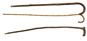 Lot Of Wooden Walking Stick Cane