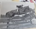 Large Lot Of Equestrian Photos And Photo Albums, Many From Myopia Hunt Club