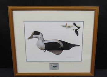 Massachusetts 1996 Duck Stamp Eider Drake Framed With Limited Edition Print Of Original Painting