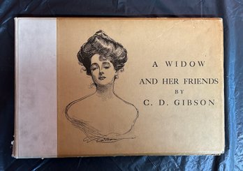 Charles D Gibson Book - A Widow And Her Friends - 1901