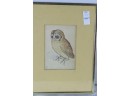 Water Colored Owl Signed Lower Left A D Number 1508, 7 X 5, Humming Bird Lithograph By J. Gould And Richter