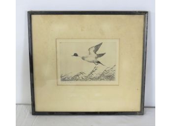 Etching The Flying Pintail By Frank W. Benson