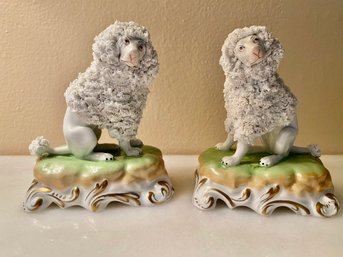 Antique Pair Of Porcelain Dresden Poodles- Seated O Scroll Mounted Bases- #73- Mm 5825 (1900-1920)