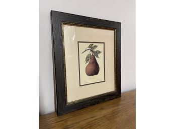 Vintage Lyndi Lende Signed And Framed Print Of A Pear