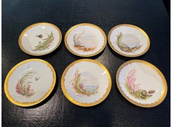 Antique Set Of 6 Porcelain Hand Painted Seascape Motif Dishes