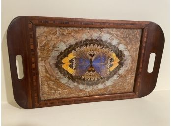 Antique Pressed Butterfly Wood Framed Tray