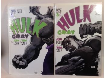 Comic Pack - Hulk Grey - #2 & #3 - Jeph Loeb & Tim Sale
