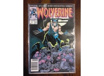 1st Issue! - Wolverine #1 - First Series - 1st Wolverine As Patch - Over 30 Years Old