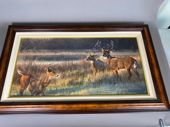 Wonderful Framed Print Of 'Shadow Tails' By Nancy Glazier With COA Number 124/195