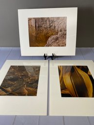 Set Of 3 Original Signed & Matted Prints By Local Artist, Howard Rosenfeld, Rock, Water, Leaf