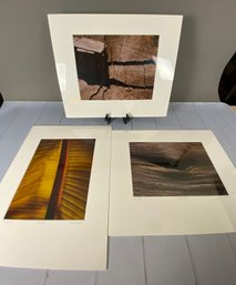 Set Of 3 Original Signed & Matted Prints By Local Artist, Howard Rosenfeld, Wood, Leaf