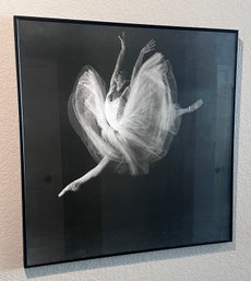 Professionally Framed Elegant Ballerina Photo Print