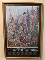 Hummingbirds Of North America Print