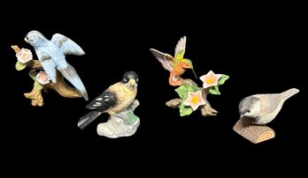 Beautiful Collection Of Perched Birds - Set Of 4