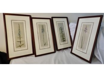 Lot Of 4 Botanical Prints