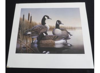 Rob Lislie Canadian Goose Print Signed & Numbered