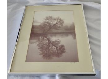Photograph Black & White Tree Barn River Reflection By M. Girard