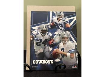 Limited Edition #2101/10000 Dallas Cowboys Tony Romo Jason Witten Tony Dixon