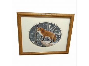 Framed And Matte Fox Photo