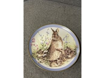 Bunny Collectible Plate