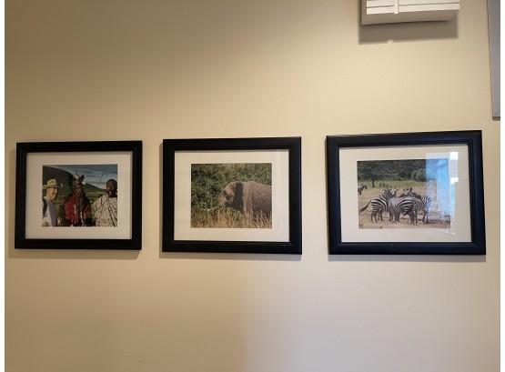 Original Africa Safari Prints - Framed